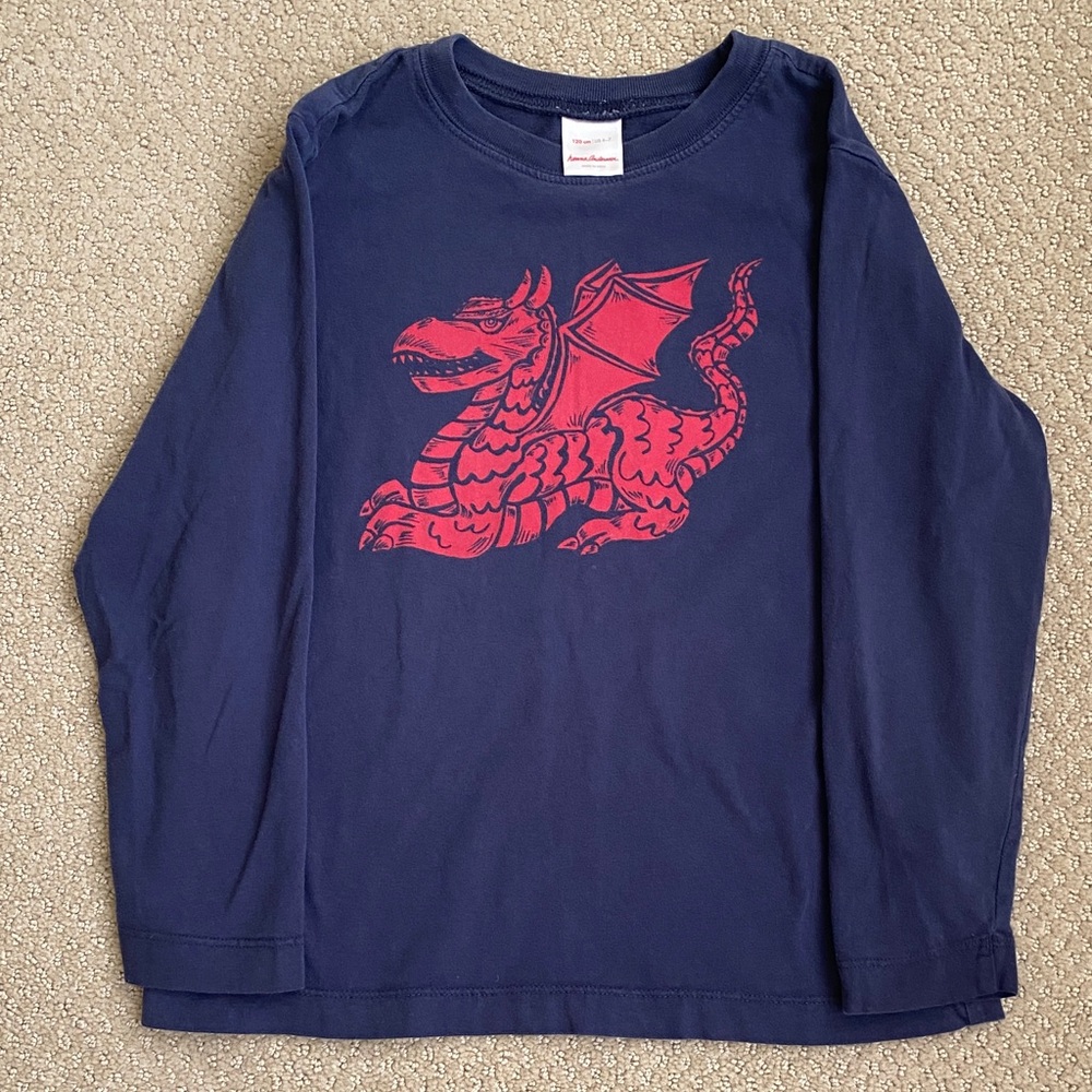 Hanna Andersson shirt size 6-7
